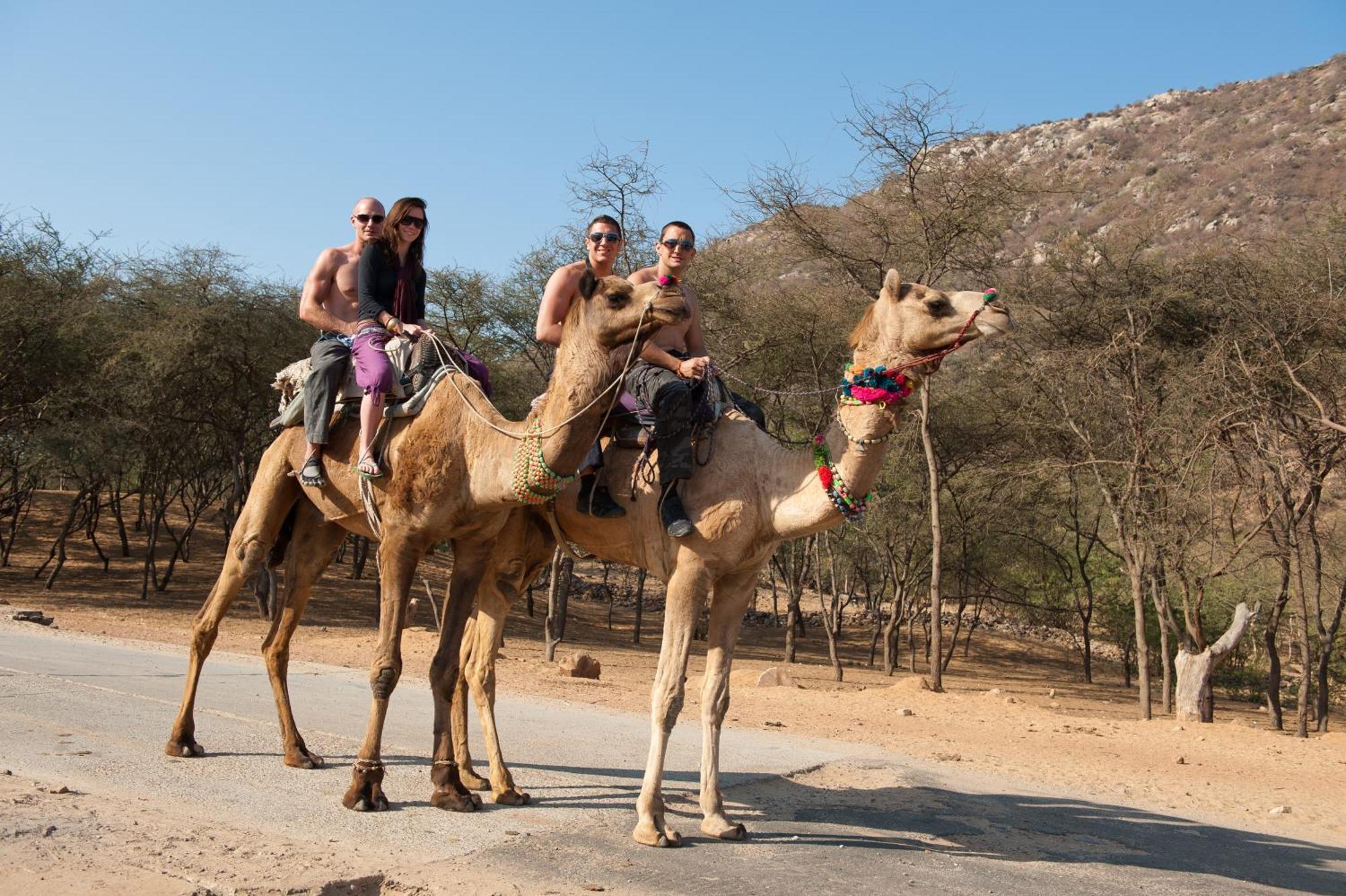 Aaram Baagh Pushkar By Pachar Group Hotell Exteriör bild